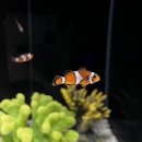 낭만닭발(월피점) | 방학에 제가 뭘 했게요