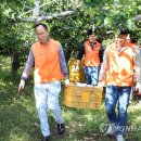 한화농장 이미지