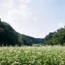 물음표 - 수성구 달구벌대로492길 9 | 물음표