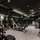 디벨롭짐 이미지