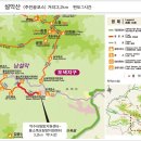 자작나무 펜션 티스토리