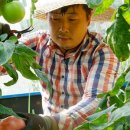 안흥농장 이미지