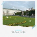 사운드 오브 뮤직 | 잘츠부르크 미라벨궁 여행 후기, 사운드 오브 뮤직 촬영지 미라벨정원