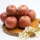 팜플루트 이미지