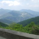 금낭화로 이미지