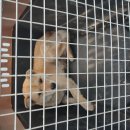 다목2리 이미지