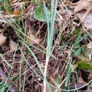 고래바위펜션 이미지