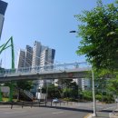 구봉산북로 네이버블로그