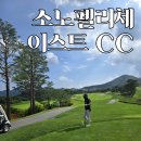 노블리안하우스 | 홍천 소노펠리체 이스트 CC 날씨 좋은 날 회원님 동반 라운딩 후기