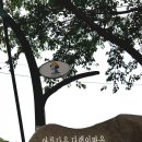 브리앙뜨스파펜션 이미지