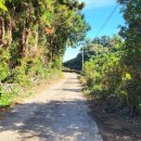 온평리-2 이미지