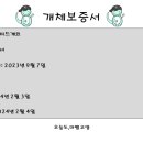 파충류샵 도마뱀