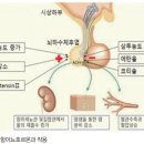 고은경희한의원 이미지