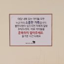 유자네 댕댕이 네이버블로그