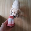 파워마켓 이미지