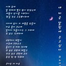 풀빛소리 이미지