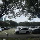 제1가선농장 | 🚗 서울숲 나들이 1부 – 서울숲 주차 꿀팁과 이동 동선 👨‍👩‍👧