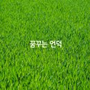 꿈꾸는언덕 이미지