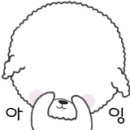 장미모사 이미지