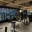 닥터피티 이미지