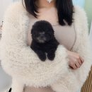 댕스마일