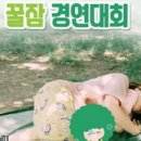 낮잠나무