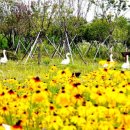 해남공원 이미지