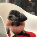 그레이트 동물병원 이미지
