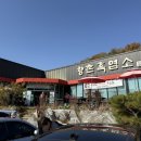 향촌흑염소가든 | [천안/유량동] 향촌흑염소가든 | 천안 흑염소전골, 천안 흑염소식당