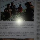 태자농장 이미지