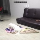 (주)메트워크 이미지