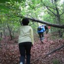 불은면-2 이미지