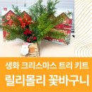 릴리플라워 | 미술선생님 추천 릴리몰리 생화 크리스마스 트리 만들기 엄마표 플라워 원데이 클래스!
