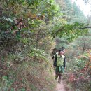 주산체육관 이미지