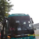 유일하계 이미지