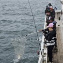 노블레스팬션 이미지