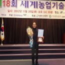 풍천대봉감농원 | 단감 진영단감 태추 감 부유 대봉 홍시 5kg 10kg 시골농원 사용 후기 - 국산의 맛