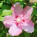 홍단 - 사천시 읍내로 9 | 홍단