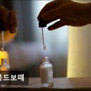 보떼성남