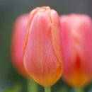 미사박사공인중개사사무소 이미지