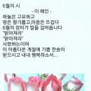 싱싱마늘 이미지