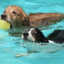 24시 산들산들 동물병원 이미지