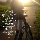 붓펜캘리그라피 이미지