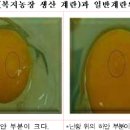 병두농장 이미지