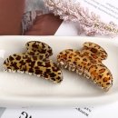 엘리스헤어?? 이미지