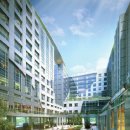 골든버터플라이 이미지