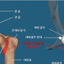 미소동물의료센터 이미지