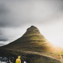 시인의 내일 이미지