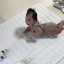 2025년 4월 기록 : 내 뱃속에 만들어진 이후 딱 1년, 100일 ⋆⁺⋆｡🦋₊⋆°⋆