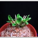 천중농장 이미지